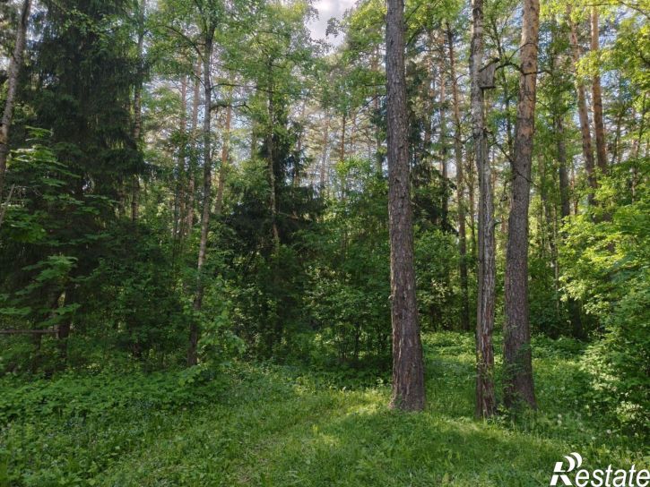 Земельный участок
